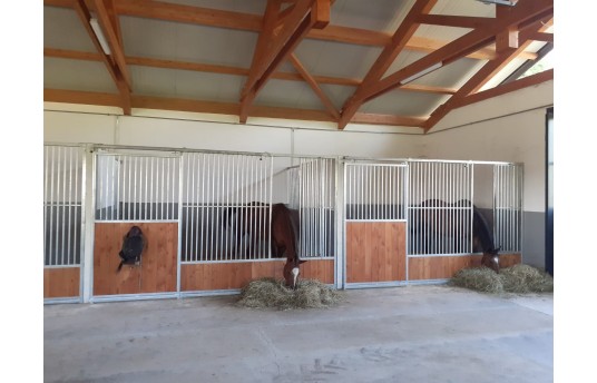 Horse health and welfare